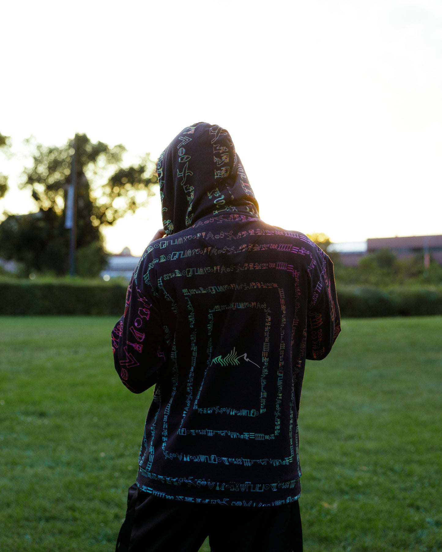 Ancient Hieroglyphs Hoodie